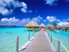 Summer wallpapers29